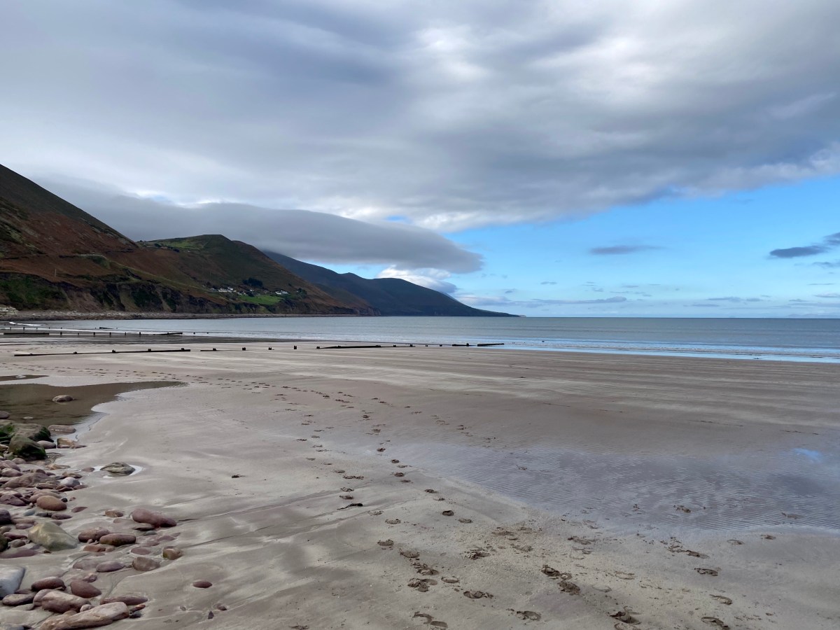 The one that almost got&nbsp;away